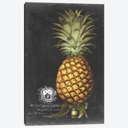 Royal Brookshaw Pineapple I Canvas Print #GBS1} by George Brookshaw Canvas Wall Art
