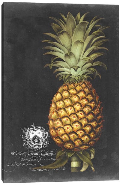 Royal Brookshaw Pineapple I Canvas Art Print