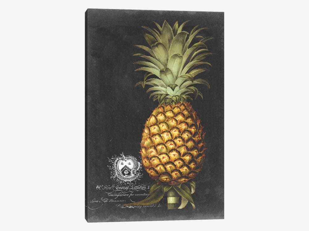 Royal Brookshaw Pineapple I by George Brookshaw 1-piece Canvas Artwork
