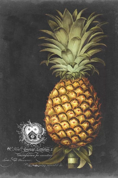 Pineapples: Royal Brookshaw Pineapple I by George Brookshaw