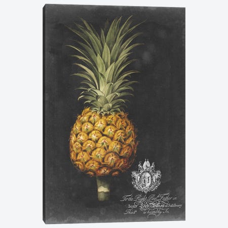 Royal Brookshaw Pineapple II Canvas Print #GBS2} by George Brookshaw Canvas Wall Art