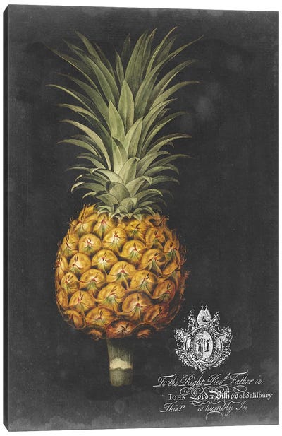 Royal Brookshaw Pineapple II Canvas Art Print