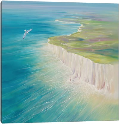 Coming Home Canvas Art Print - Gull & Seagull Art