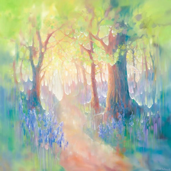 Gill Bustamante: The Bluebell Whisperer by Gill Bustamante