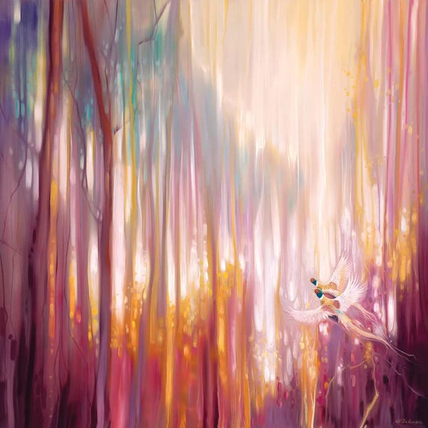 Gill Bustamante: Nebulous Forest by Gill Bustamante