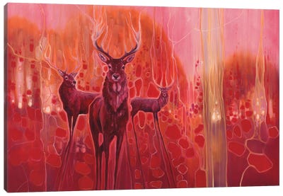 Red Magic Canvas Art Print - Colorful Arctic
