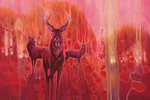 Deer: Red Magic by Gill Bustamante
