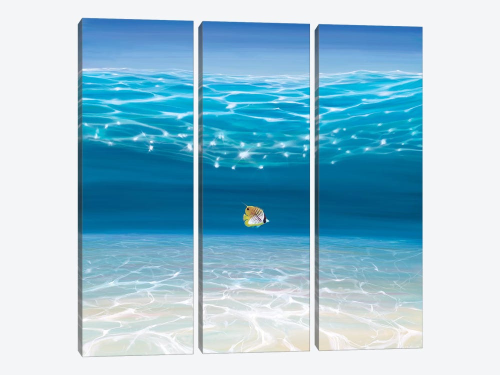 Solo In The Turquoise Sea by Gill Bustamante 3-piece Canvas Wall Art