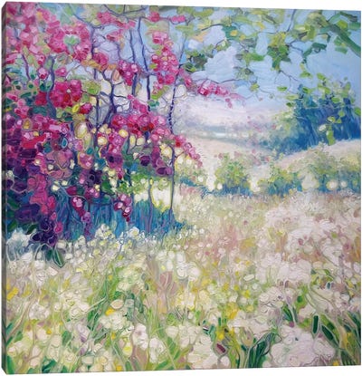 Spring Meadow In Sussex Canvas Art Print