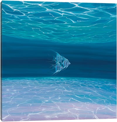 Blue Angels Blue Sea Canvas Art Print - Gill Bustamante