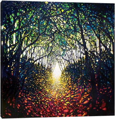 Almost There... Canvas Art Print - Enchanted Forests