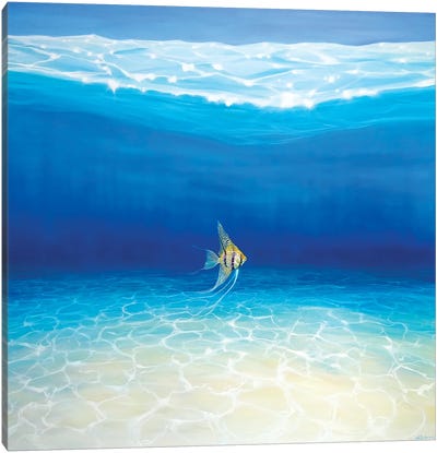 Angel Escapes To The Sea Canvas Art Print