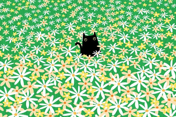 Black Cat in Flower Field