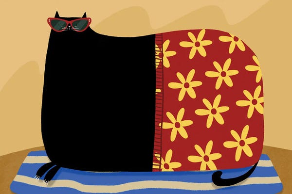 Summer Cat