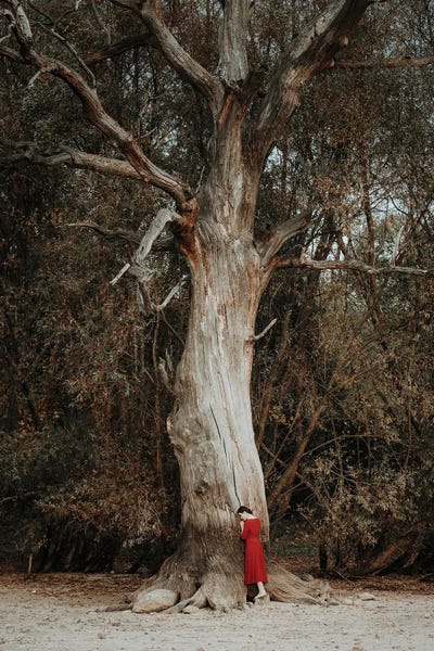 Girl In A Red Dress Canvas Art By Dorota Gorecka Icanvas