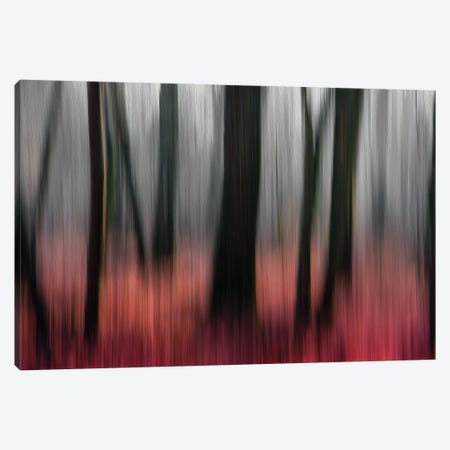 Red Wood Canvas Print #GCL6} by Gilbert Claes Canvas Art