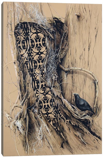 Looking For Magic Canvas Art Print - Crow Art