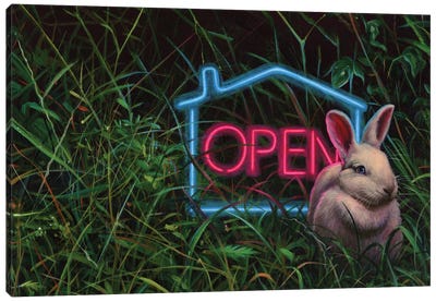Open House Canvas Art Print - Grass Art