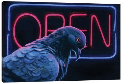 The Open Pigeon Canvas Art Print - Dove & Pigeon Art