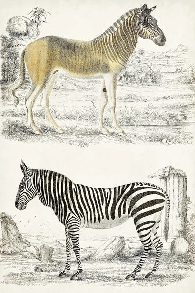 Georges Cuvier
