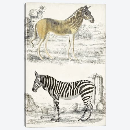 Journal Of Natural History I Canvas Print #GCV1} by Georges Cuvier Canvas Art