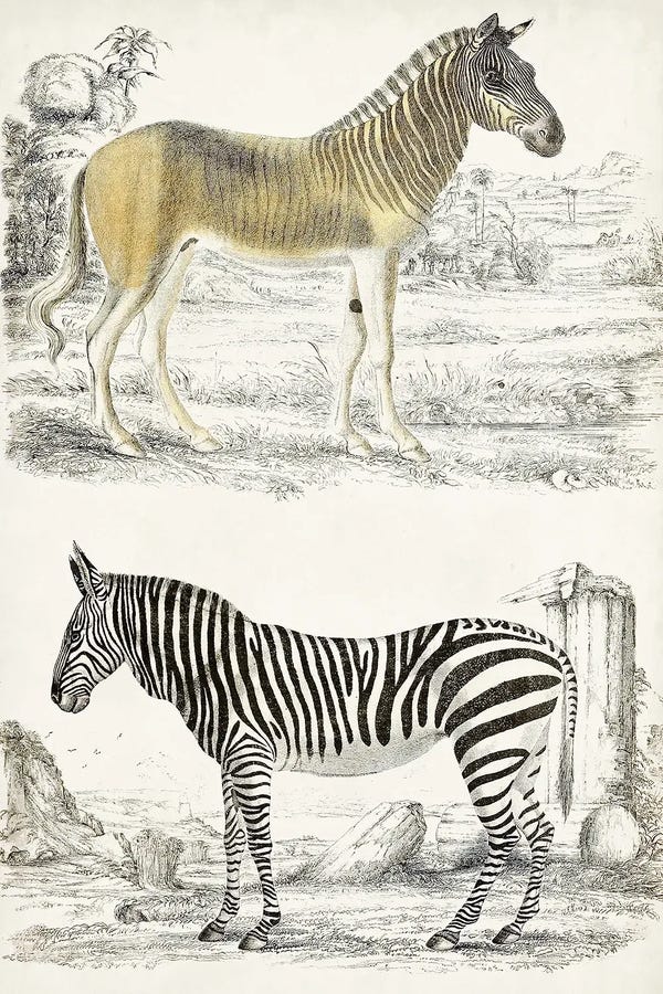 Georges Cuvier