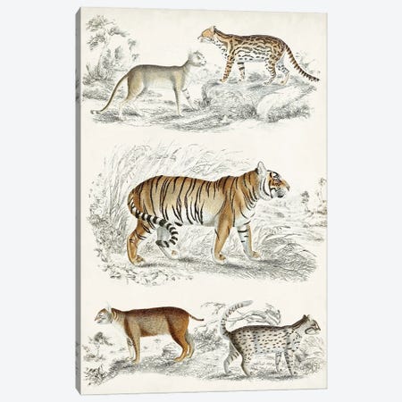 Journal Of Natural History II Canvas Print #GCV2} by Georges Cuvier Canvas Art
