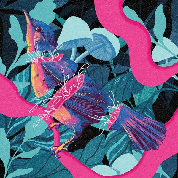 Mushrooms: Pink And Blue Bird by Galactixy Illustrations