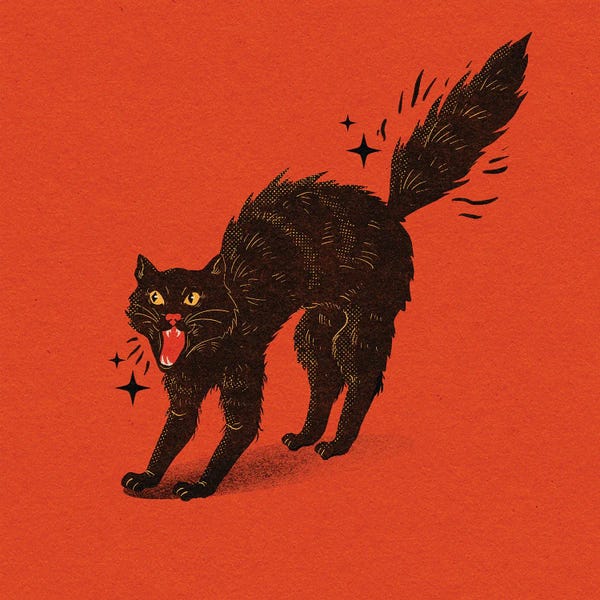 Galactixy Illustrations: Spooked Cat by Galactixy Illustrations