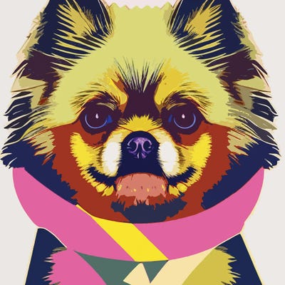 Pomeranian by Gabriel Cozzarelli canvas print