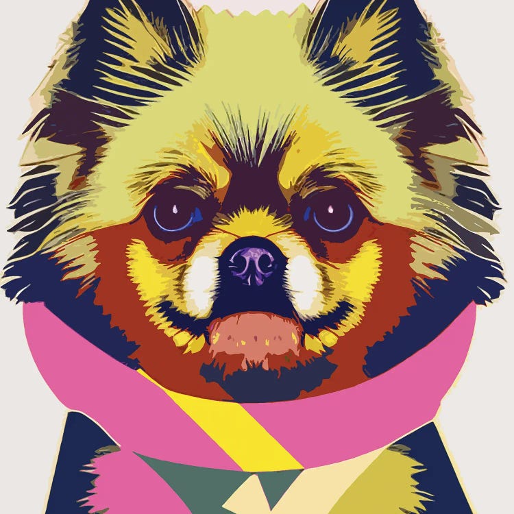 Pomeranian by Gabriel Cozzarelli wall art