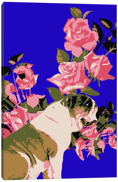 Bulldog Roses Canvas Art Print