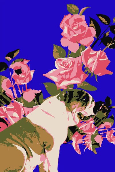 Fine Art Print: Bulldog Roses by Gabriel Cozzarelli
