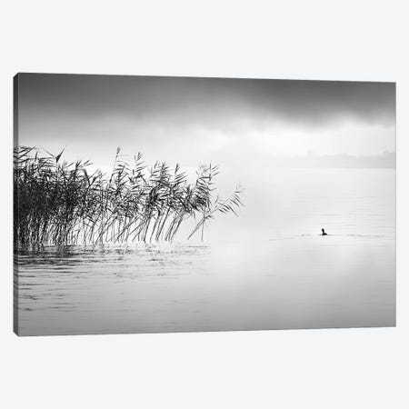 A Hazy Shade Of Winter Canvas Print #GDI3} by George Digalakis Canvas Print