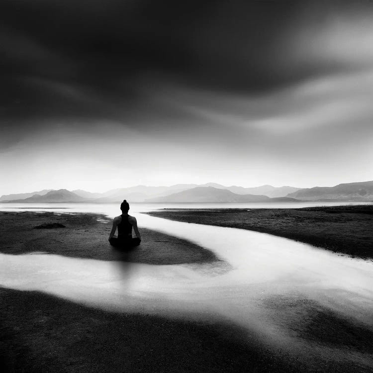 Zen Stream by George Digalakis wall art