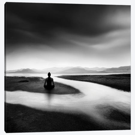 Zen Stream Canvas Print #GDI7} by George Digalakis Canvas Wall Art