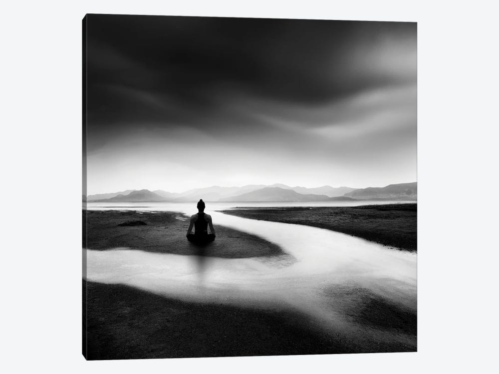Zen Stream by George Digalakis 1-piece Canvas Artwork