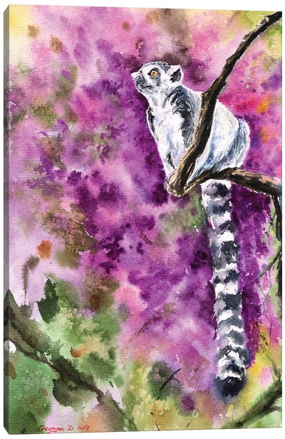 Lemur Canvas Art Print - George Dyachenko