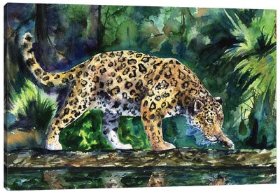 Leopard Canvas Art Print - George Dyachenko