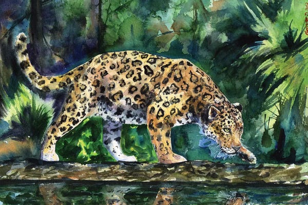 Leopards: Leopard by George Dyachenko