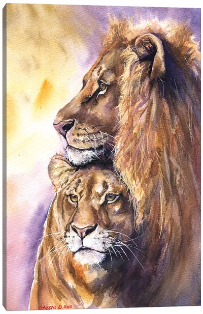 Lion Family Canvas Art Print - George Dyachenko