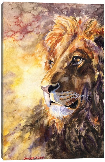 Lion I Canvas Art Print - George Dyachenko