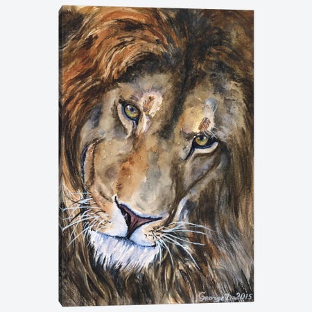 Lion II Canvas Print #GDY106} by George Dyachenko Canvas Art