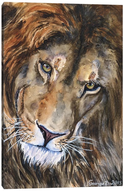 Lion II Canvas Art Print - George Dyachenko