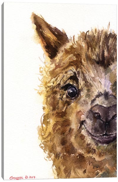 Llama Canvas Art Print - George Dyachenko