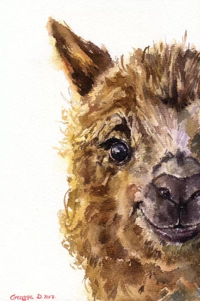 Llamas: Llama by George Dyachenko