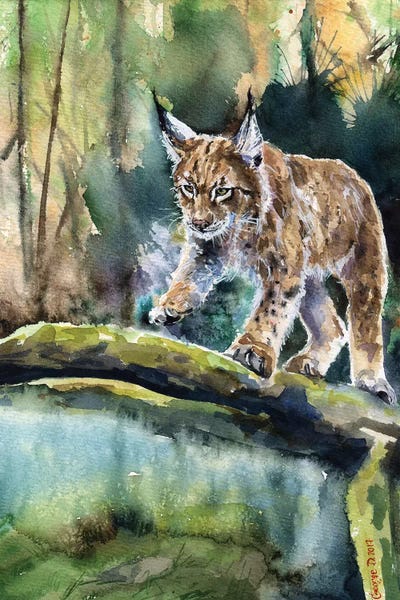 Lynx by George Dyachenko canvas print