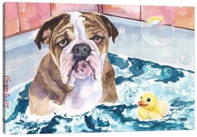 Bath Time Canvas Art Print - Bulldog Art