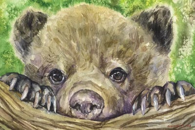 Bear Cub by George Dyachenko framed wall art