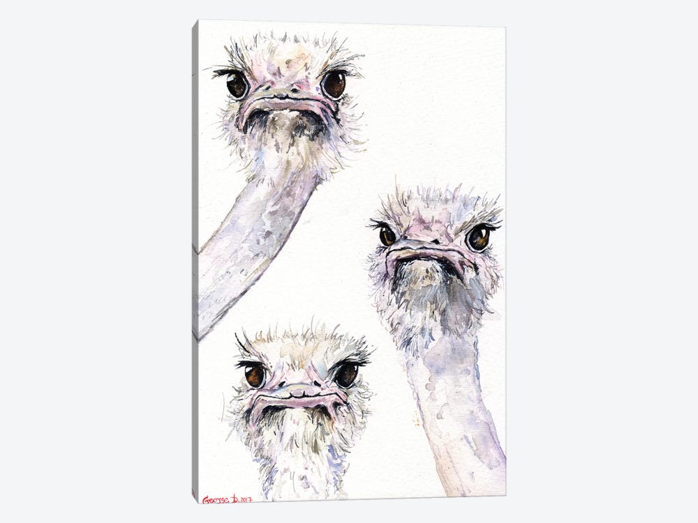 Ostriches by George Dyachenko 1-piece Canvas Artwork